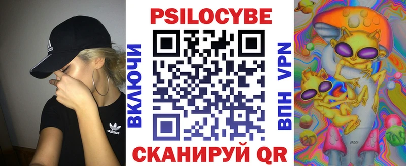 omg сайт Орехово-Зуево Псилоцибиновые грибы Psilocybine cubensis
